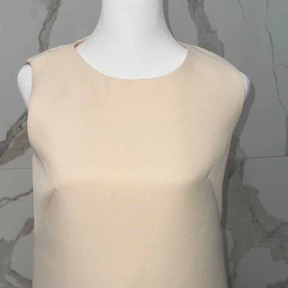 Chicwish Beige Sleeveless Mini Dress Ruffle Skirt Hemline - Picture 2 of 8